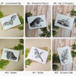 Pick Your Own Mini Greeting Card Set: Blank A7 Nature Illustration Notecards - Image 3