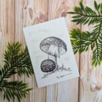 Fly Agaric Mini Greeting Card: Toadstool Illustration Notecard - Image 2