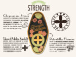 Strength Talisman Enamel Pin: Get Well Soon Gift - Image 6