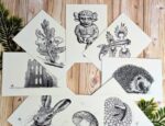 Pick Your Own Mini Greeting Card Set: Blank A7 Nature Illustration Notecards